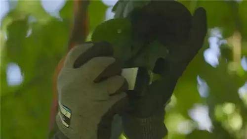 僅有這一些抓人眼球的室外標(biāo)識才配叫創(chuàng)意！廣告主也滿意10