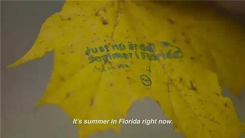 唯有這一些抓人眼球的戶外標(biāo)識才配叫創(chuàng)意！廣告主也滿意11