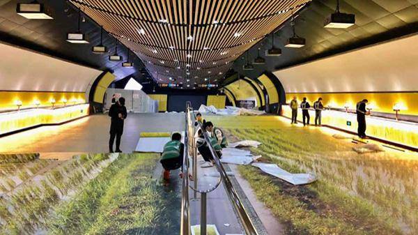 這一些室外廣告的創(chuàng)意你喜好嗎？17