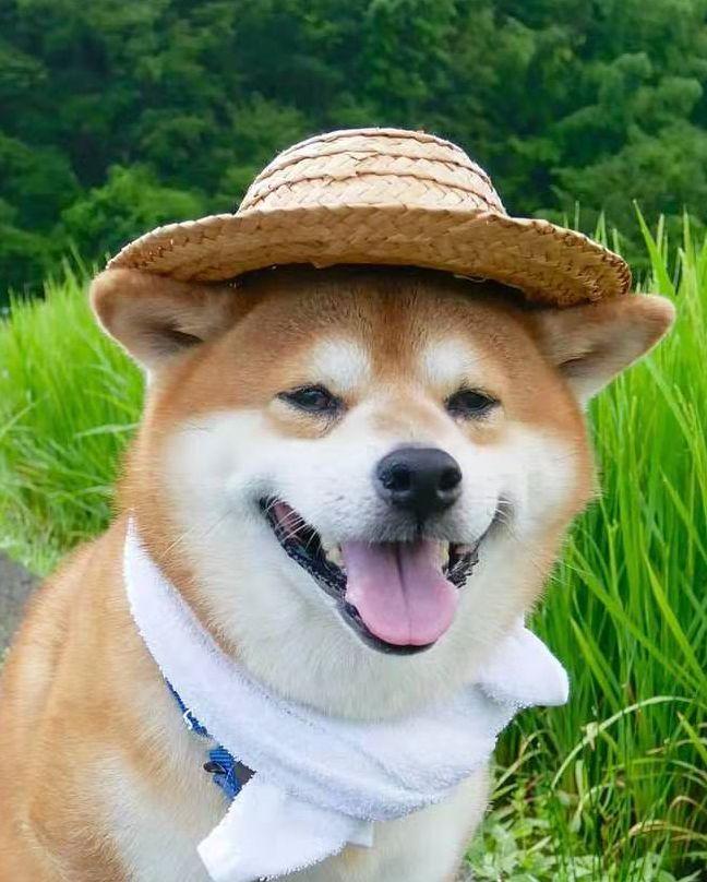 中國(guó)路邊的做廣告牌，我能笑一年16