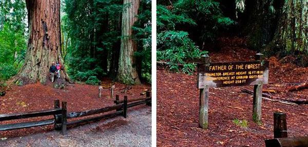 “旅游化”的標(biāo)志系統(tǒng)，讓LOGO牌作為景區(qū)里的特殊景致11